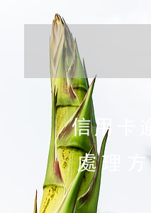 信用卡逾期被盜刷怎么辦？全面解析處理方法與步驟